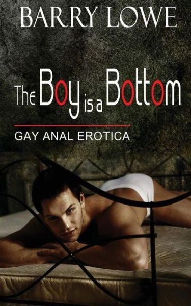 Cover for Barry Lowe · The Boy is a Bottom: Gay Anal Erotica (Taschenbuch) (2013)