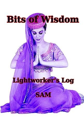 Bits of Wisdom: Lightworker's Log - Sam - Kirjat - SAM - 9781939890030 - lauantai 20. huhtikuuta 2013