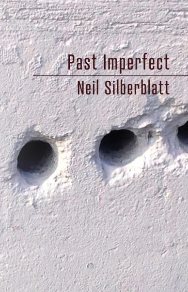 Cover for Neil Silberblatt · Past Imperfect (Paperback Book) (2018)