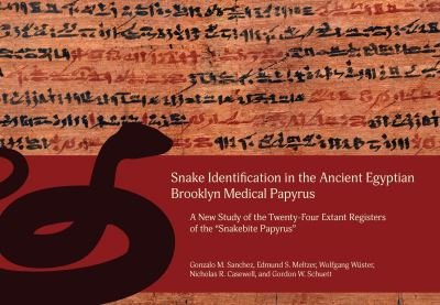 Cover for Gonzalo M. Sanchez · Snake Identification in the Ancient Egyptian Brooklyn Medical Papyrus: A New Study of the Twenty-Four Extant Registers of the 'Snakebite Papyrus' (Hardcover bog) (2024)