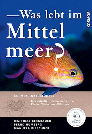 Cover for Matthias Bergbauer · Was lebt im Mittelmeer? (Book) (2022)