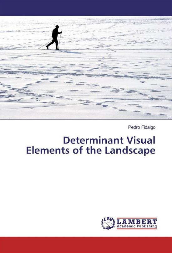 Cover for Fidalgo · Determinant Visual Elements of (Book)