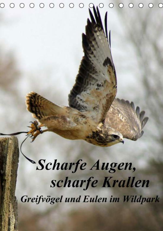 Cover for Bönner · Scharfe Krallen, scharfe Augen, (Book)