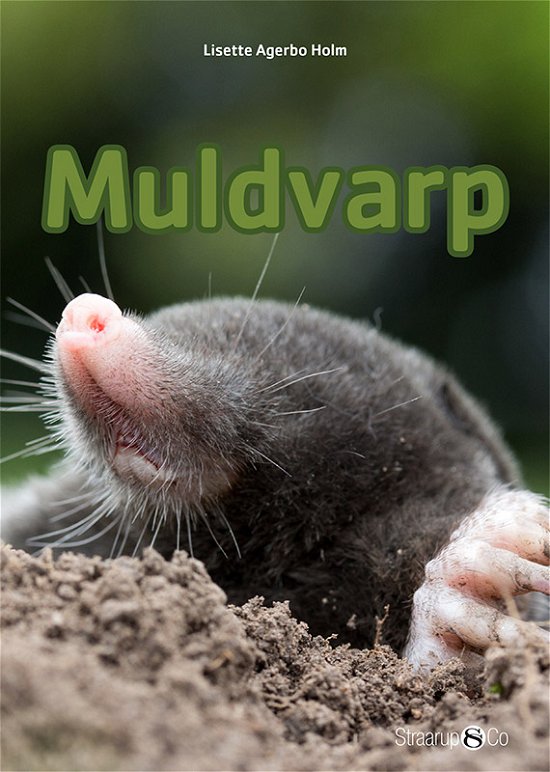 Mini: Muldvarp - Lisette Agerbo Holm - Bøger - Straarup & Co - 9788770180030 - 4. april 2018
