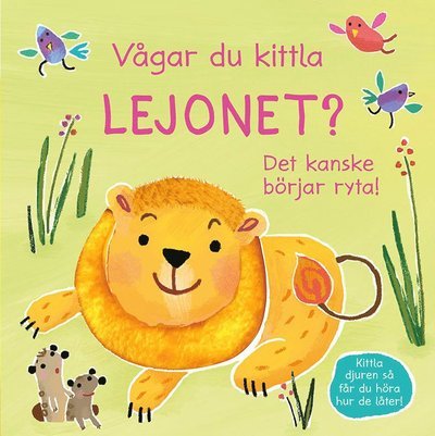 Cover for Sam Taplin · Vågar du kittla lejonet? : det kanske börjar ryta! (Board book) (2020)