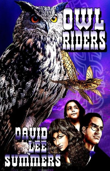 Cover for David Lee Summers · Owl Riders (Pocketbok) (2022)