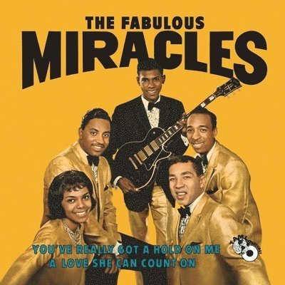 You've Really Got A Hold On Me - Miracles - Musik - MOTOWN - 0602508113031 - 12. november 2021