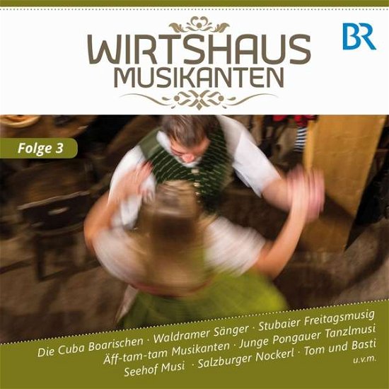 Cover for Wirtshausmusikanten Diverse Interpreten · Wirtshaus Musikanten Br-fs,f.3 (CD) (2017)