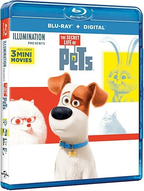 Cover for Pets · Pets - Vita Da Animali (Blu-ray) (2020)