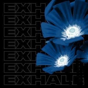 Exhale Va004 (part 1) - V/A - Music - EXHALE - 5414166667031 - May 5, 2023