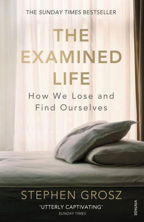 The Examined Life: How We Lose and Find Ourselves - Stephen Grosz - Bücher - Vintage Publishing - 9780099549031 - 2. Januar 2014