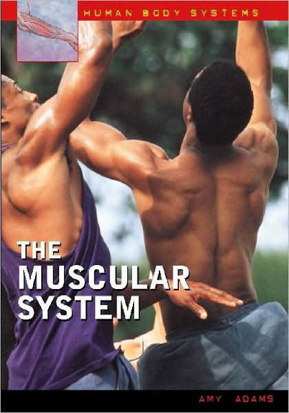 Cover for Amy Adams · The Muscular System - Human Body Systems (Innbunden bok) (2004)