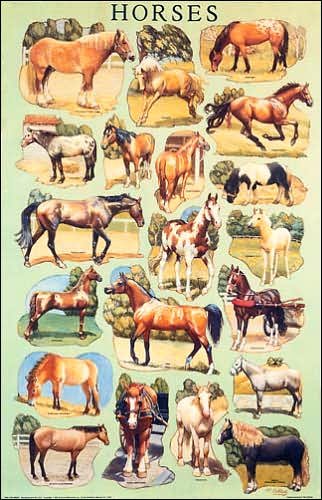 Cover for Dover · Horses - Dover Posters (Poster) (1987)