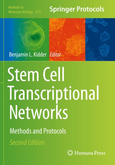 Stem Cell Transcriptional Networks: Methods and Protocols - Methods in Molecular Biology -  - Kirjat - Springer-Verlag New York Inc. - 9781071603031 - torstai 21. tammikuuta 2021