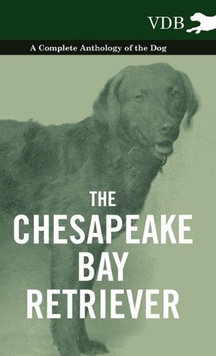 Cover for The Chesapeake Bay Retriever - a Complete Anthology of the Dog - (Innbunden bok) (2010)