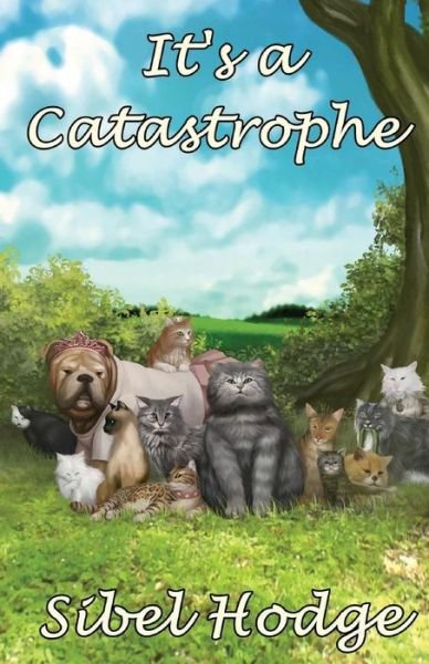 Cover for Sibel Hodge · It's a Catastrophe (Paperback Book) (2012)