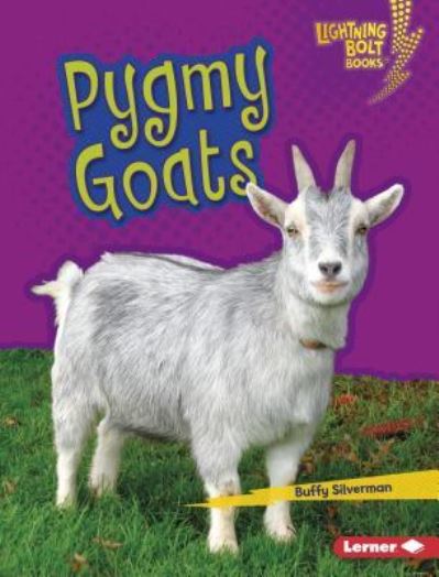 Cover for Buffy Silverman · Pygmy Goats (Book) (2018)