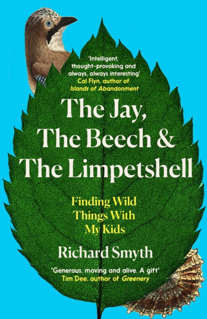 Cover for Richard Smyth · The Jay, The Beech and the Limpetshell: Finding Wild Things With My Kids (Taschenbuch) (2024)