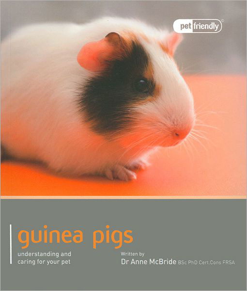 Cover for Anne Mcbride · Guinea Pig - Pet Friendly (Paperback Book) (2010)