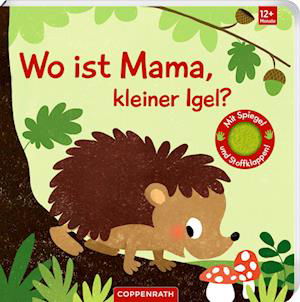 Wo ist Mama, kleiner Igel? - Sabine Kraushaar - Books - Coppenrath - 9783649648031 - June 3, 2024