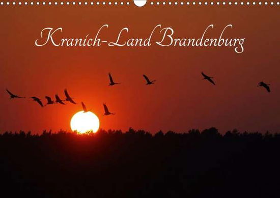 Cover for Konieczka · Kranich-Land Brandenburg (Wan (Book)