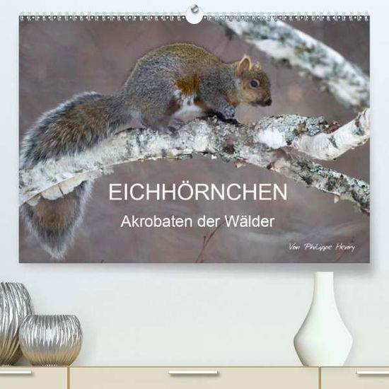 Cover for Henry · EICHHÖRNCHEN (Premium, hochwertig (Book)