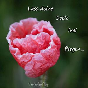 Lass deine Seele frei fliegen - Susann Schlecht - Books - Books on Demand - 9783755776031 - December 22, 2021