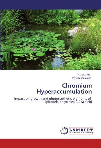 Cover for Piyush Malaviya · Chromium Hyperaccumulation: Impact on Growth and Photosynthetic Pigments of Spirodela Polyrrhiza (L.) Schleid (Paperback Book) (2011)