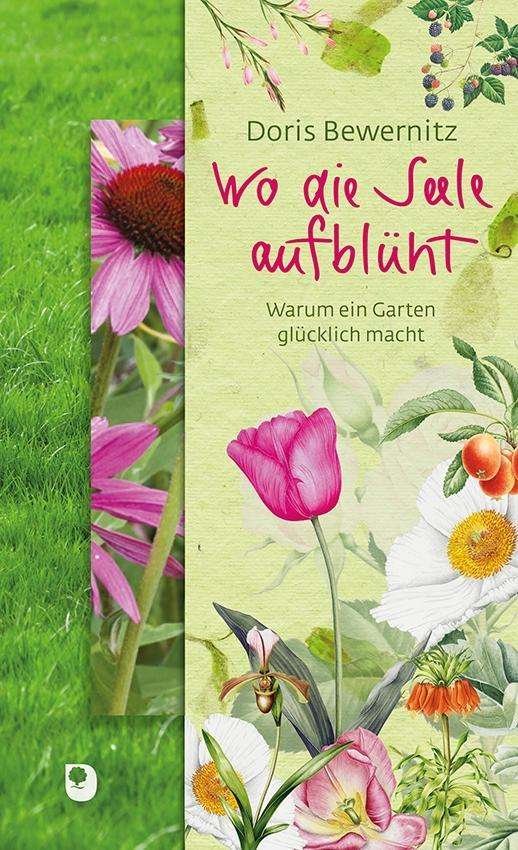 Cover for Bewernitz · Wo die Seele aufblüht (Book)