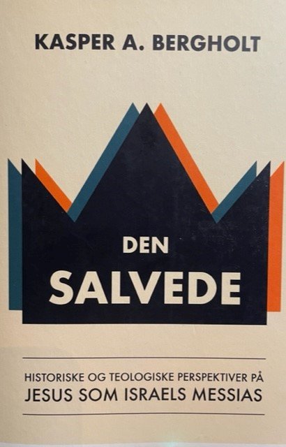 Cover for Kasper A. Bergholt · Den Salvede (Paperback Book) [1. Painos] (2022)