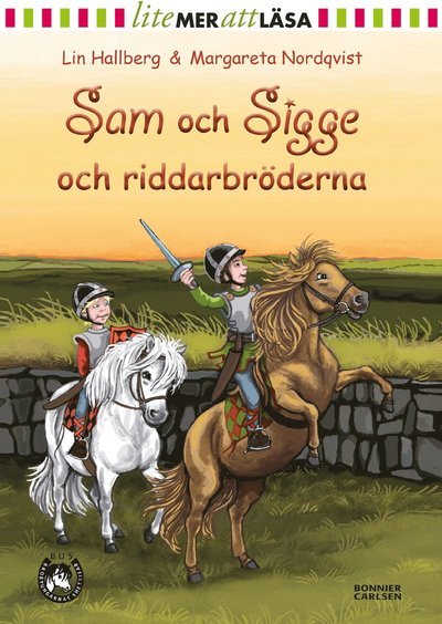 Cover for Lin Hallberg · Sam och Sigge: Sam och Sigge och riddarbröderna (Gebundesens Buch) (2016)