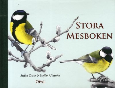 Cover for Stefan Casta · Stora mesboken (Gebundesens Buch) (2013)