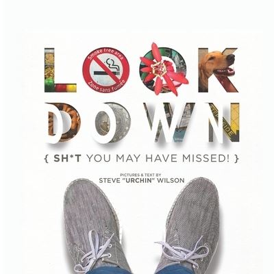 Look Down - Steve Wilson - Books - Independently Published - 9798689866031 - September 28, 2020