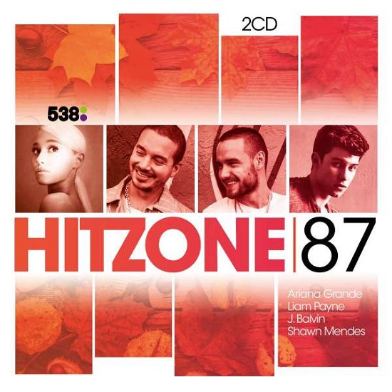 Hitzone 87 - V/A - Musik - UNIVERSAL - 0600753846032 - 11. oktober 2018