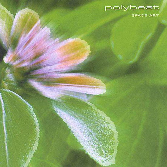 Space Art - Polybeat - Musik -  - 0634479033032 - 10. August 2004