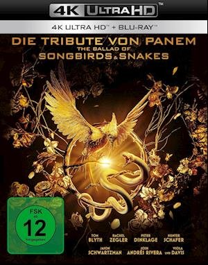 Die Tribute Von Panem - the Ballad of Songbirds an (4K Ultra HD) (2024)
