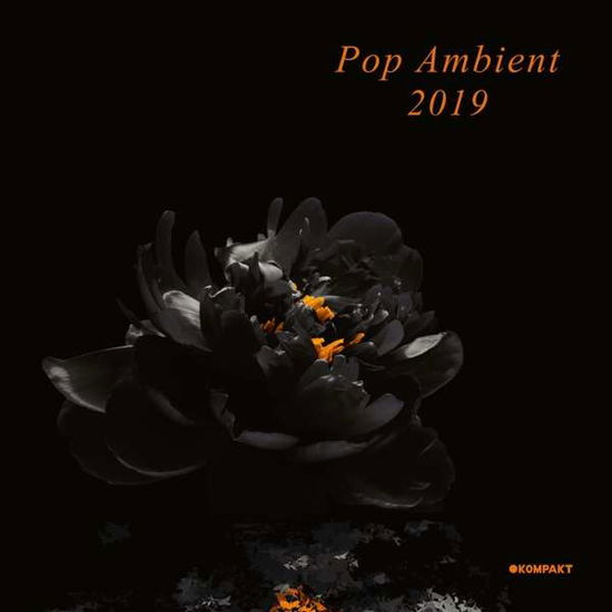 Cover for Pop Ambient 2019 / Various (LP) (2018)