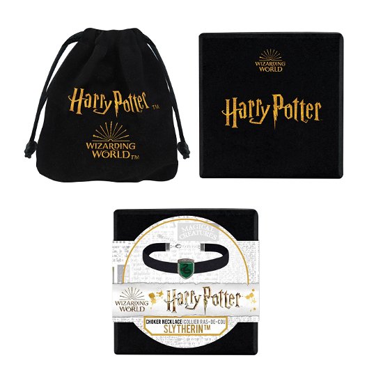 Cover for Harry Potter · Harry Potter Halskette &amp; Anhänger Slytherin (MERCH) (2020)