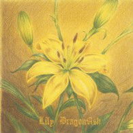 Lily <limited> - Dragon Ash - Muzyka - VICTOR ENTERTAINMENT INC. - 4988002660032 - 27 listopada 2013