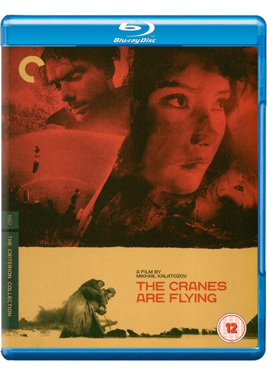Cover for The Cranes Are Flying · The Cranes Are Flying - Criterion Collection (Blu-ray) (2020)