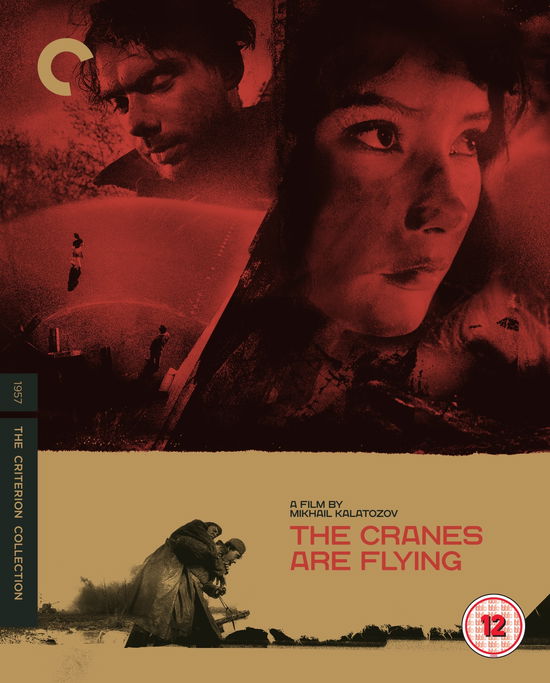 The Cranes Are Flying - Criter - The Cranes Are Flying - Criter - Filmes - CRITERION - 5050629543032 - 13 de abril de 2020