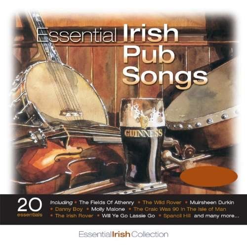 Essential Irish Pub Songs / Various - Essential Irish Pub Songs / Various - Musik - DOLPHIN RECORDS - 5099343042032 - 19 maj 2017