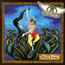 Nine Lives - Aerosmith - Music - SONY MUSIC ENTERTAINMENT - 5099748502032 - November 27, 2006