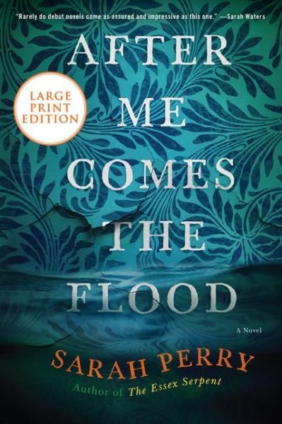 Cover for Sarah Perry · After Me Comes the Flood A Novel (Bok) (2020)