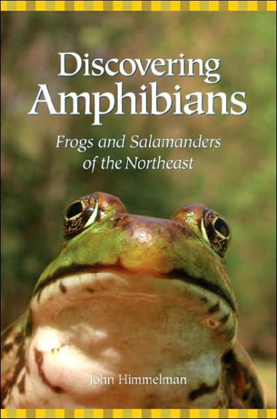 Cover for John Himmelman · Discovering Amphibians: Frogs and Salamanders of the Northeast (Paperback Book) (2006)