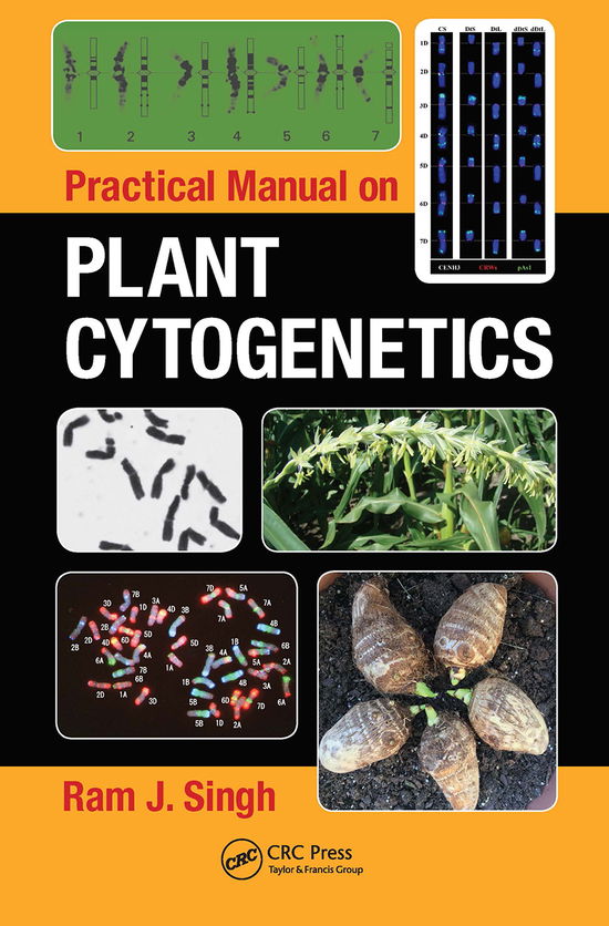 Cover for Ram J. Singh · Practical Manual on Plant Cytogenetics (Paperback Book) (2021)