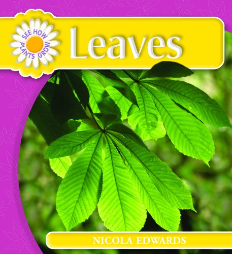 Leaves (See How Plants Grow) - Nicola Edwards - Books - Powerkids Pr - 9781404237032 - July 30, 2007