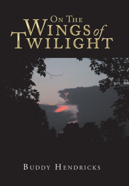 Cover for Buddy Hendricks · On the Wings of Twilight (Hardcover Book) (2018)