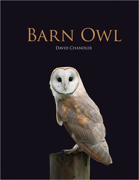 Cover for David Chandler · Barn Owl (Hardcover Book) (2011)