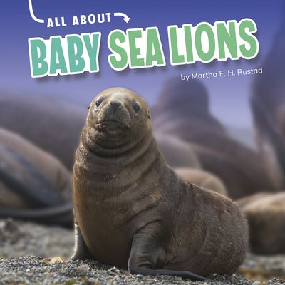 Cover for Martha E. H. Rustad · All About Baby Sea Lions (Inbunden Bok) (2021)